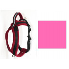 11AFH5PINK